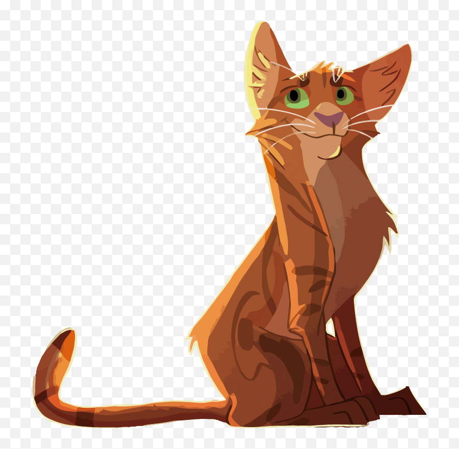 Kitten Whiskers Cat Illustration - Cat Png,Orange Cat Png