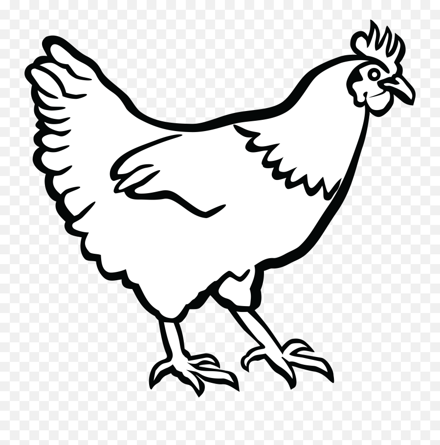 Transparent Background Chicken Clipart - Hen In Black And White Png,Chicken Clipart Transparent Background