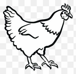 Transparent Background Chicken Clipart - Hen In Black And White png
