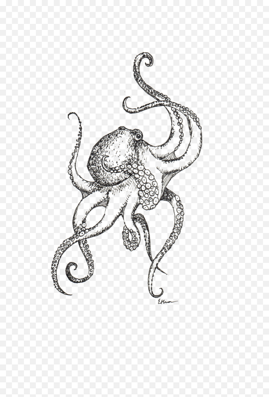 Sketches Betsy Heron Png Octopus
