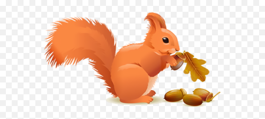 Eurasian Red Squirrel Cartoon - Dibujo Ardilla Comiendo Nueces Png,Squirrel  Transparent - free transparent png images 
