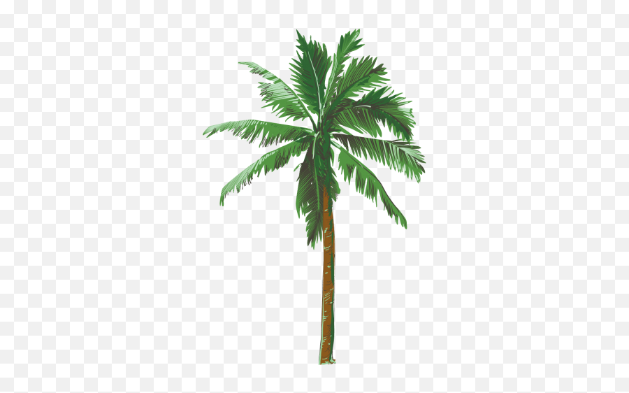 Palm Tree Transparent Background - Palm Tree Transparent Background Png,Tree Png Transparent
