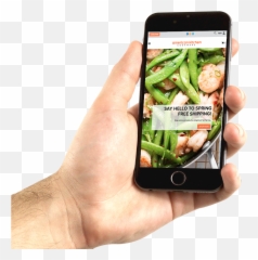 Ds Suite Enterprise Gsati - Mockup Iphone Png Transparent,Ds Png