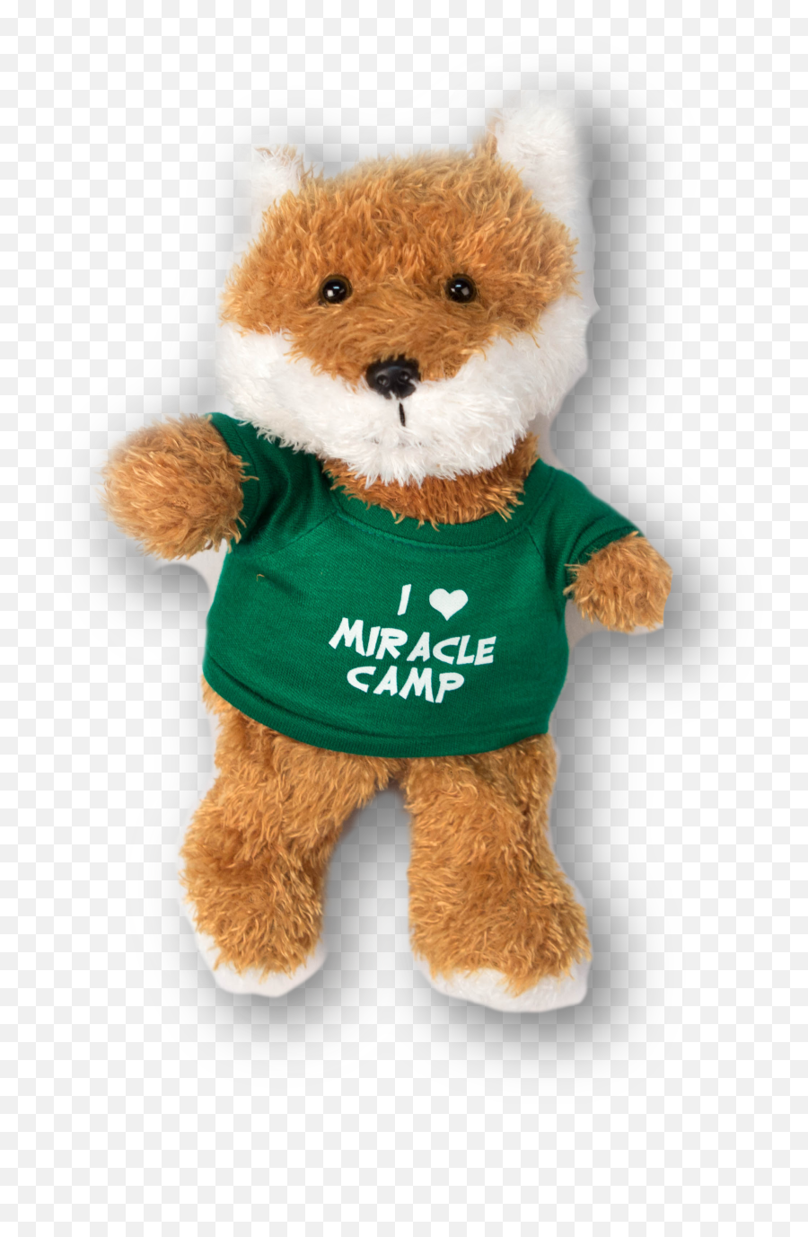 Download Teddy Bear - Full Size Png Image Pngkit Teddy Bear,Teddy Bears Png