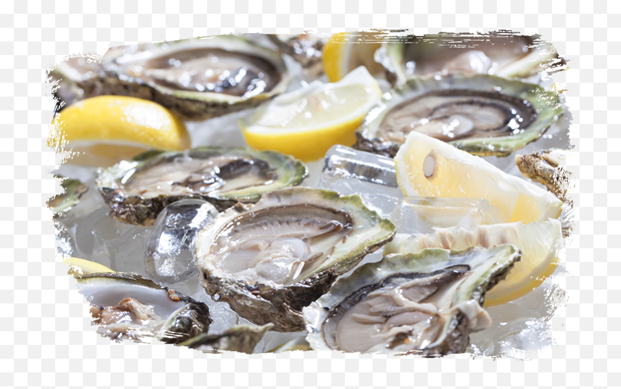 Specials - Dirty Alu0027s Bayou Grill Png,Oysters Png