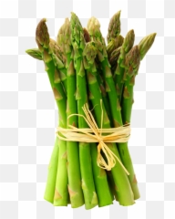 Asparagus Transparent Background - Asparagus Png,Asparagus Png