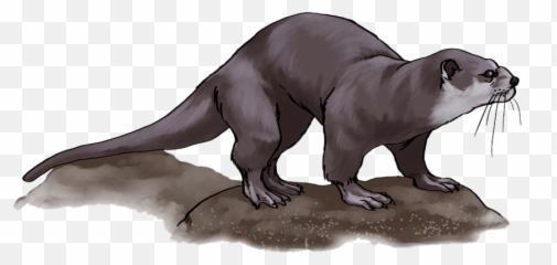 Otter Png Free Download - Transparent Background Otter Clip Art,Otter Png