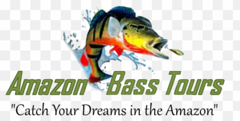 Home - Amazonbasstourscom Language Png,Bass Fish Logo