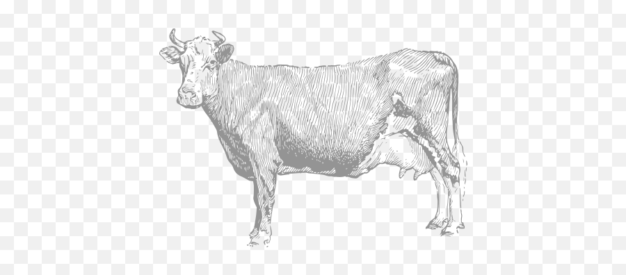 What Is Ozaki Beef Marble Kappo Png Cattle
