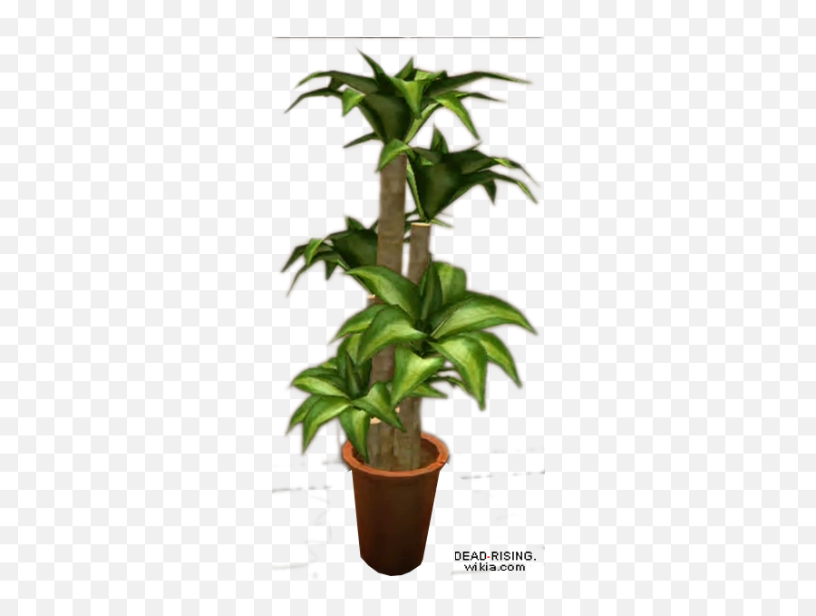 Download Hd Dead Rising Potted Plant 6 - Plant Dead Transparent Png,Potted Plant Png