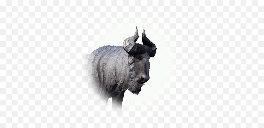 Water Buffalo - Black Desert Online Full Size Png Download Bull,Black Desert Online Png