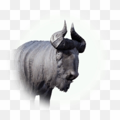 Water Buffalo - Black Desert Online Full Size Png Download Bull,Black Desert Online Png