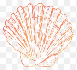 Fan Shell Dark Clip Art - Coral Sea Shell Clip Art Png,Seashell Clipart Png