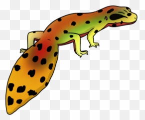 Leopard Gecko - Leopard Gecko Transparent Pg Png,Leopard Gecko Png