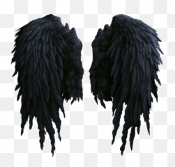 Angel Wings Vector Png - Black Transparent Background