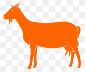 Live Animal Suppliers Sunset Feed U0026 Supply - Figure png