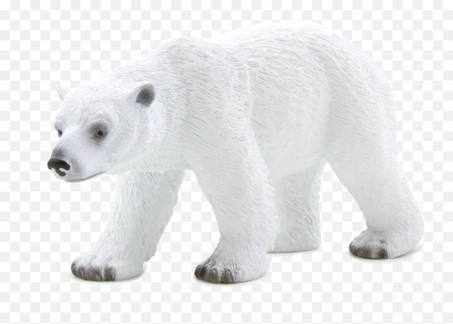 Animal Planet Polar Bear - Elephanta Elephanta Png,Polar Bear Png