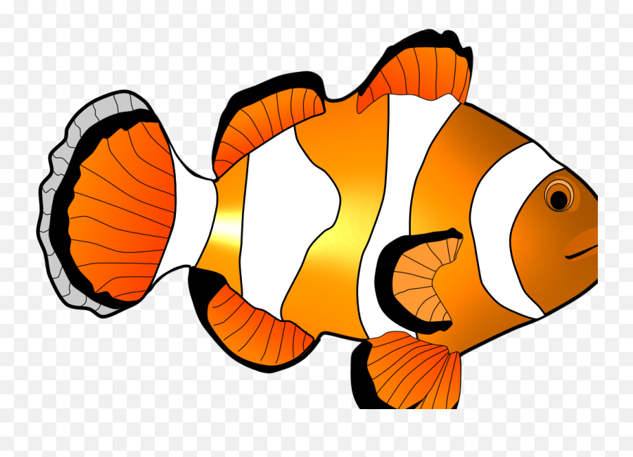 Home Images Clown Fish Clip Art - Clip Coupons Png,Fish Clipart Transparent