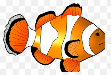 Home Images Clown Fish Clip Art - Clip Coupons Png,Fish Clipart Transparent