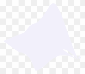 Teamsdu China - 2019igemorg Dot png