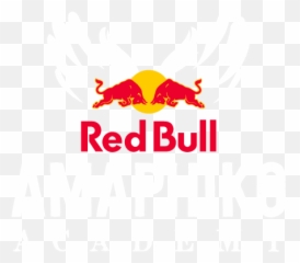 Logo Png - Redbull King Of The Air