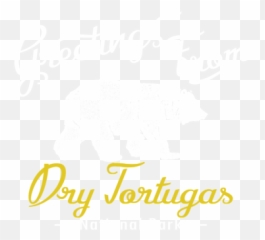 Dry Tortugas National Park Chalk Bear Fleece Blanket For - Language png