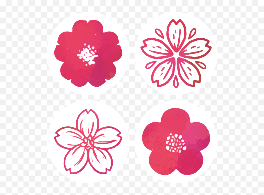 Red Cherry Blossom Modern Drink Coaster - Sakura Outline Png,Sakura Flower Icon