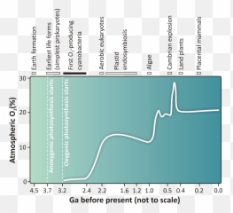 Filefpls - 0200028g001png Wikimedia Commons Diagram,Starts Png