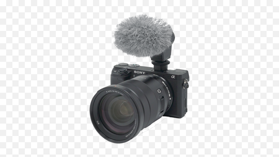 Vlogging Alpha Setups - Sony Camera Vlog Png,Vlog Png