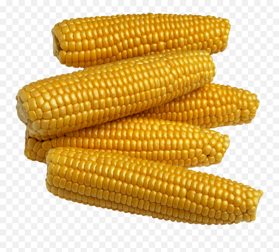 Download Corn Png Image For Free - Maize Png,Corn Transparent