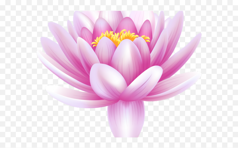 Lilly Pad Png - Clipart Wallpaper Blink Draw Flowers Lotus Good Morning Cards In Hindi,Lotus Png