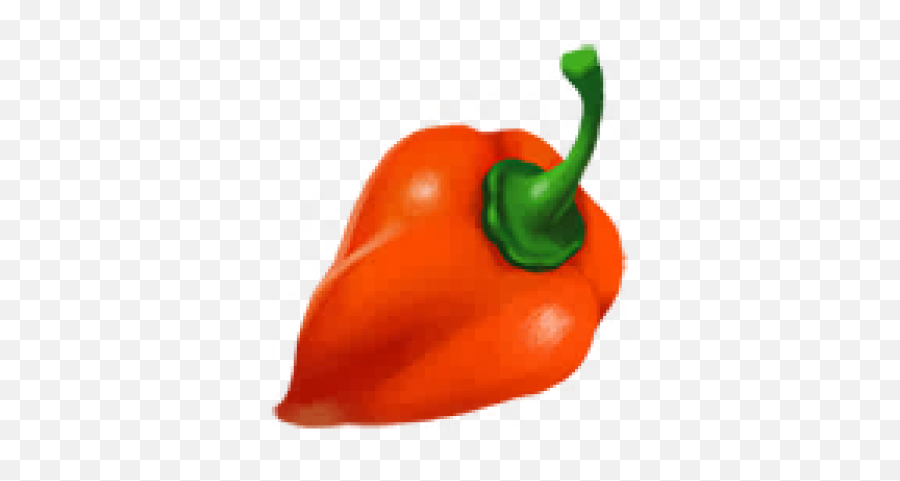 Download Free Png Filehabanero Pepperpng - Dlpngcom Habanero Chili,Bell Pepper Png