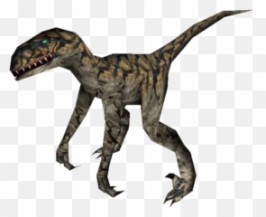 Raptor Png Clipart Vectors Psd - Dinosaur Images Hd Png,Velociraptor Png