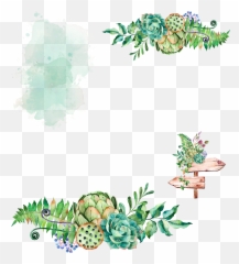 Plant Watercolor Painting Cactaceae - Watercolor Border Succulent Png,Succulent Png