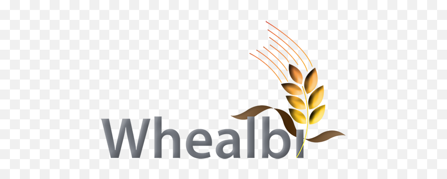 Whealbi - Barley Png,Wheat Logo