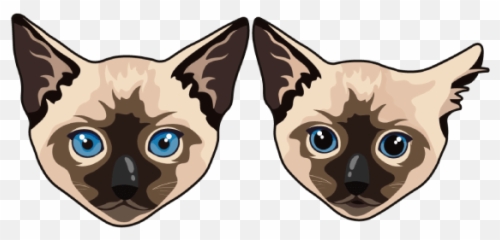 Funny Cats - Custom Cursor Browser Extension Cat Yawns Png,Funny Cat Png