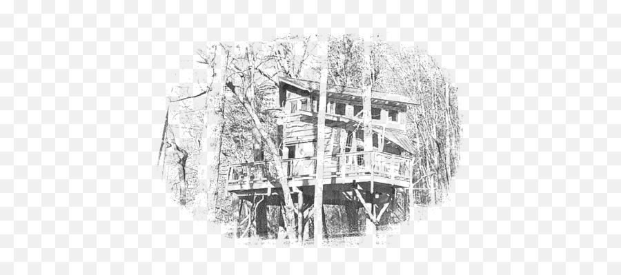 Blue Ridge Treehouse - House Png,Treehouse Png