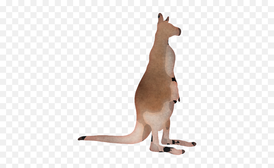 Kangaroo Wallaby Png Transparent Picture Mart - Kangaroo,Kangaroo Transparent