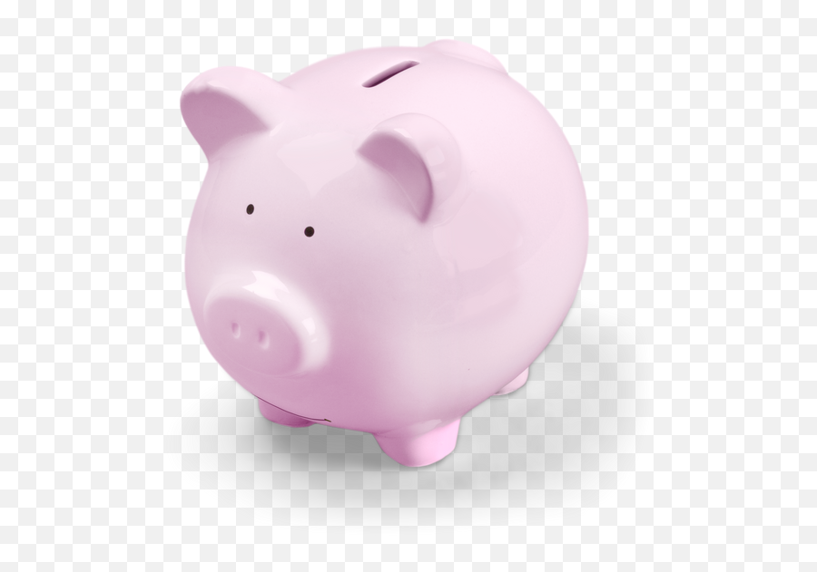 Piggy Bank Savings Concept - Photos By Canva Domestic Pig Png,Piggy Bank Transparent Background
