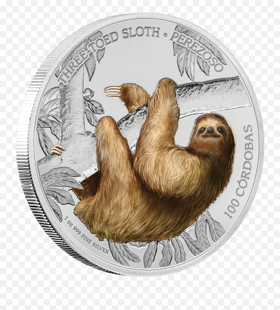 Three - Sloth Coin Png,Sloth Transparent