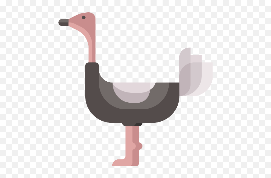 Ostrich Png Icon - Common Ostrich,Ostrich Png