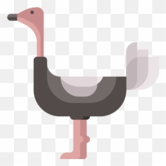 Ostrich Png Icon - Common Ostrich,Ostrich Png
