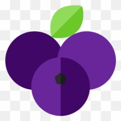 Blueberry - Seattle Art Museum Png,Blueberry Png