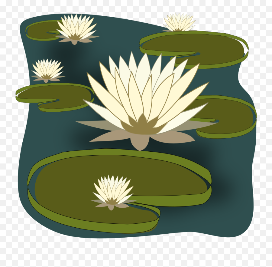 Lily Cliparts Download Free Clip Art - Lily On Water Clipart Png,Water Lily Png