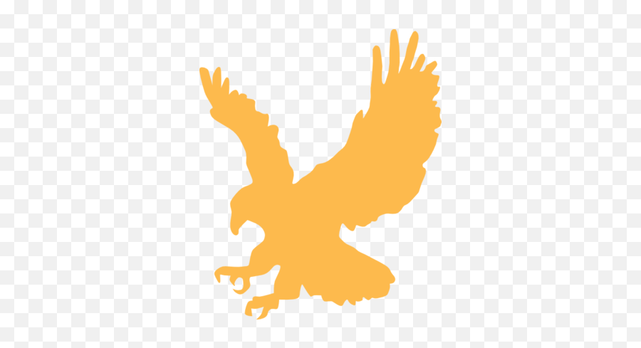Golden Hawk Fairy Tail Fanon Wiki Fandom - Gold Eagle Clip Art Png,Hawk Png