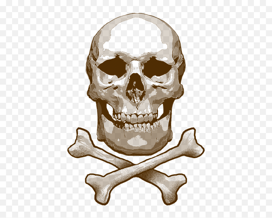 Free Photo Skull Bones And Cross Skeleton Toxic - Creepy Png,Skull And Crossbones Png