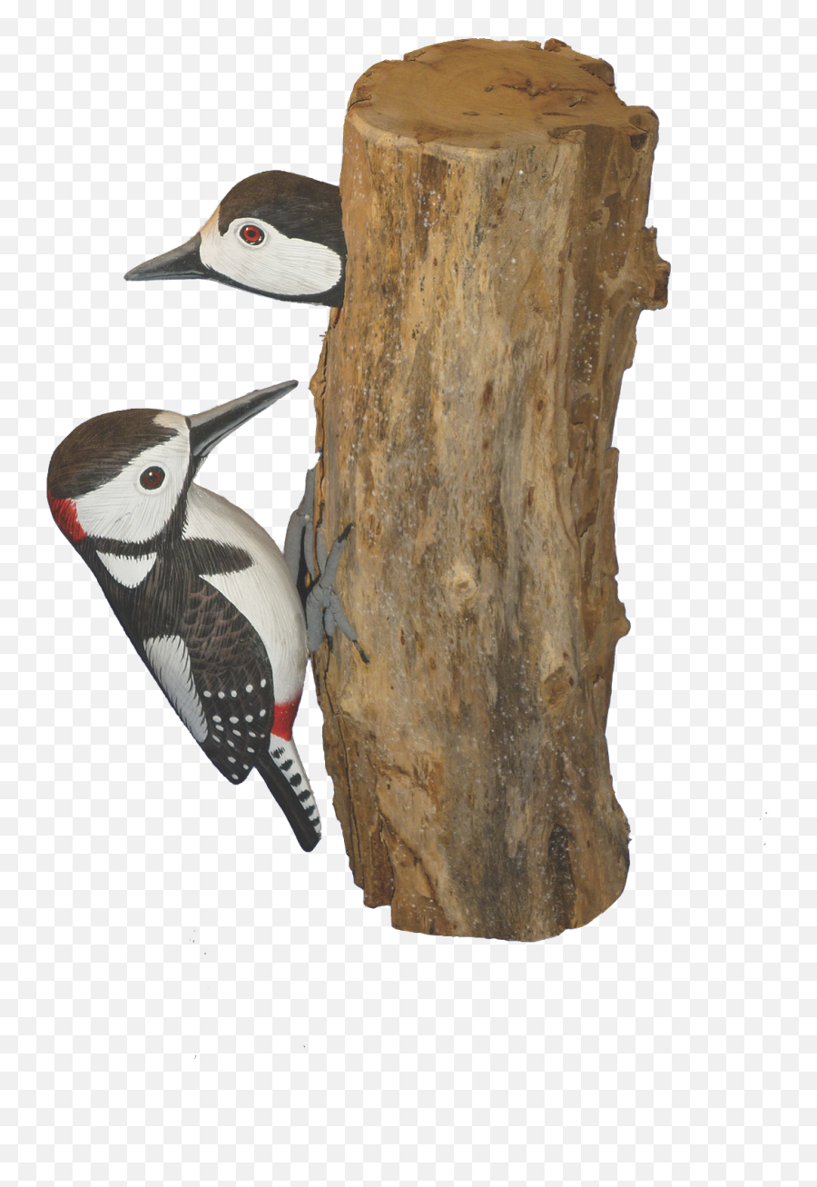 Handpainted Carved Spotted Woodpecker U0026 Baby - Loon Png,Woodpecker Png