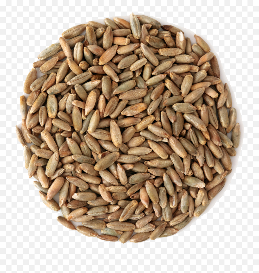Grains Png Images Collection For Free - Beer,Grains Png