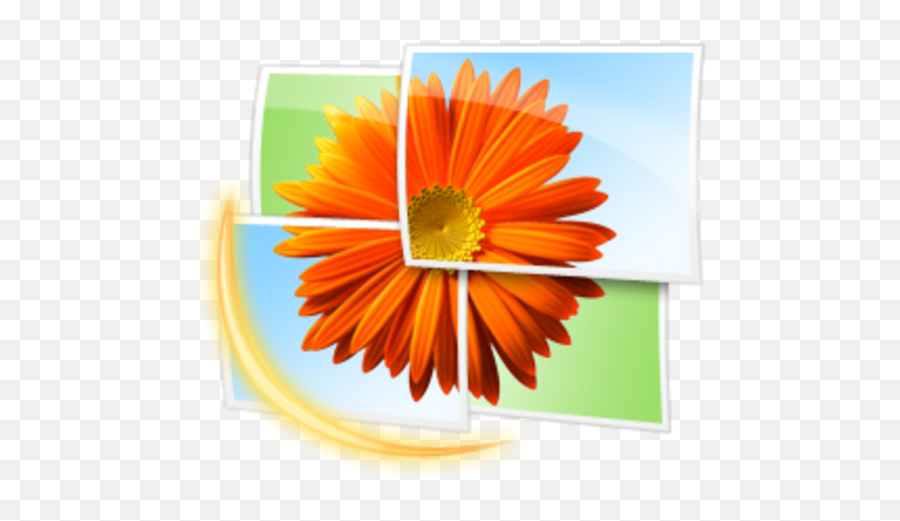 Windows Photo Gallery Png U0026 Free Gallerypng - Windows Photo Gallery Logo,Icon Gallary