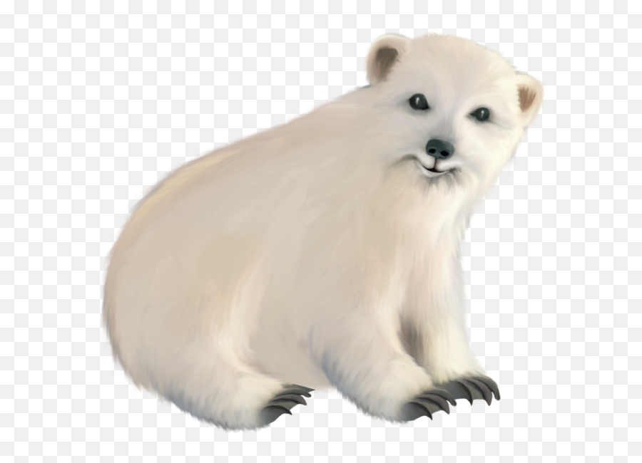 Polar Bear Png 47 - Photo 6819 Transparent Image For Baby White Bear Transparent,Polar Bear Png